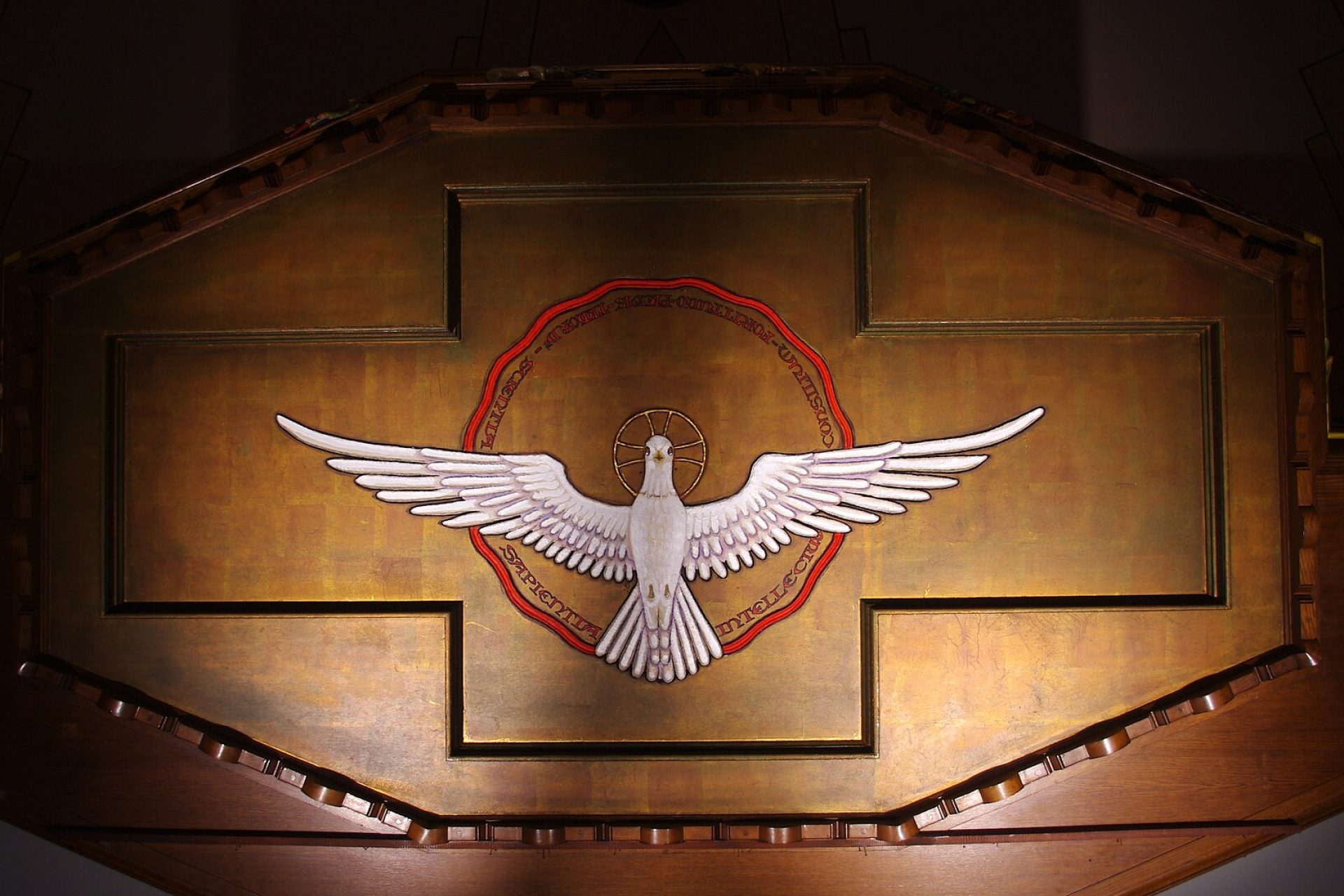 Camino a Pentecostés: “Palabras de Vida” tendrá una semana especial sobre el Espíritu Santo